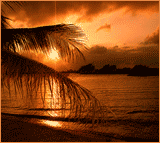 Southwest Florida Sunsets